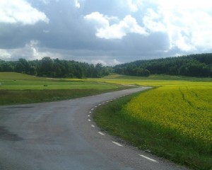 midsommar500